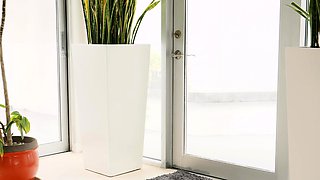 Webcam milf with breast milk live hardcore masturbate