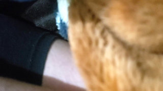 Romantic Latin Couple in Leggings