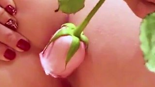 The Pink