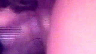 The Gozona Pig Gets Milk