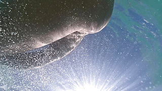 girl flashing ass with plug underwater