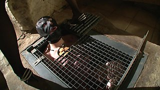 Drill and Discipline - Female Domina and Her Male Slaves - Full Movie