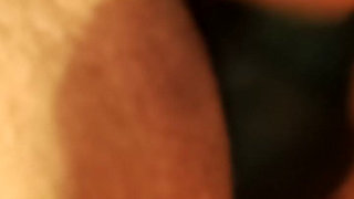Nut Time