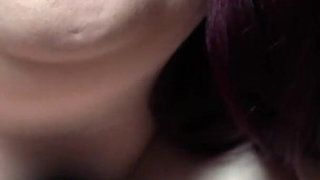 Nicotine Nebula Obedience Training