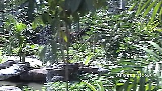 Pissings with Natalie in Bali Part I