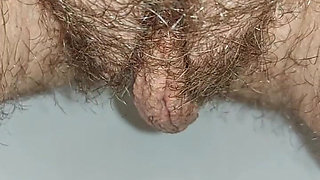 Housewife Pissing