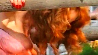 Marvelous Redhead French Milf Drilled Hard In Outdoor Gangbang