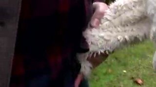 Massive cock for horny blonde in search of pleasure