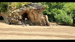 The Girl Dared to Run Naked on the Beach and Show Her Butt