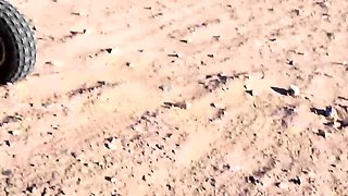 Showing perfect ass while riding an ATV