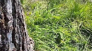 In the Countryside I Give a Blowjob to a Stranger