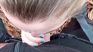 Giving head, outdoor blowjob, hd videos
