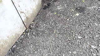 1 Seria Alicaslim and Rusbigpaul