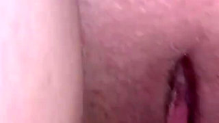 Insemination at User Meetings 2