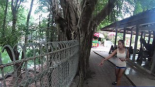 Crocodiles munching and Thai GF cumming