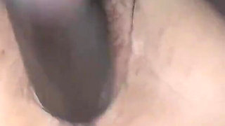 Wedding Gift for the Biggest Horn in Brazil, Receiving the Diploma of Husband!