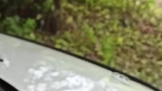 Outdoor Sex Next to Car