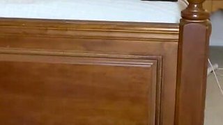 POV BBW MILF Sucks Your Cock