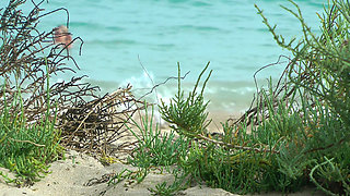 Watching on the beach as Isa has fun