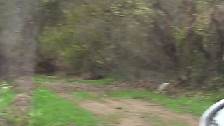 I Show My Boobs in Random Places