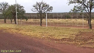 Extreme sex with a hot African housewife