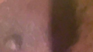 25460764