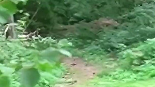 Scouse MILF Tia Layne Wants to Become a Dogging Slut so She Heads Into the Woods to Find Three Hung Strangers to Please