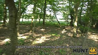 Forest strawberry bet led to a fire rail