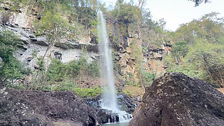 Young indigenous woman from iguazu falls does oral sex and fucks in the jungle