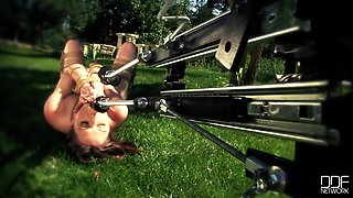 Ain't No Garden Party