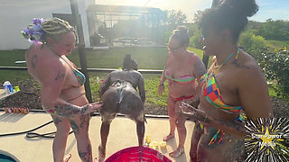 Creamy Custard Playtime: Savanna, Giana, Bleu & Livie Get Messy