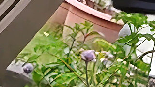 Smoking Hot Featuring Lily S