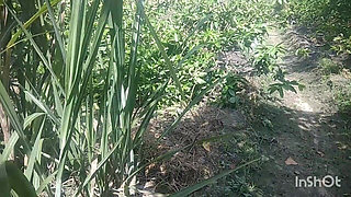 Indian Tamil Priyanka Housewife Outdoor Sex