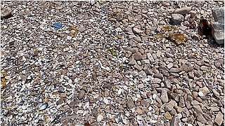 یه دختره رو تو ساحل دیدم حشری شدم ترتیبش رو دادم I Fuck A Girl In Public At The Beach