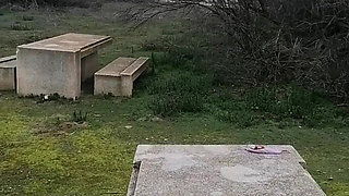 Pee Compilation I