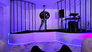 At the Disco