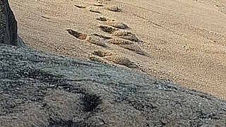 A Stranger Touched My Body on the Beach.