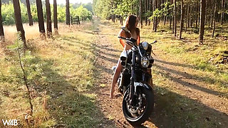 Beauty and the Beast