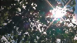 Asians Japanese Milfs Getting Hardcore Fu
