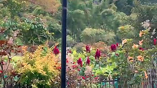 "An afternoon that no one expected"