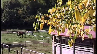 The Anal Desires of a Slut in Heat