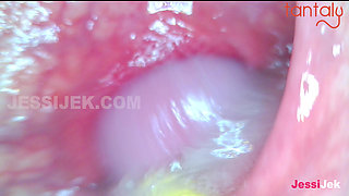 Sex Education with Jessie and the Tantaly Doll. an Endoscope in the Ass Showing Creampie Inside. Jessijek