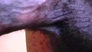 Something Long and Hard for You