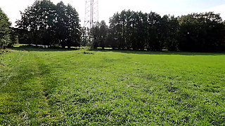In the Field Her Naked Breasts Beaten