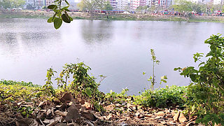 Beautiful Girl Sex Video