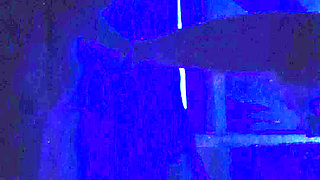 XXX Sister in Law Sexy Fucked Sex Porn Videos