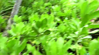 Blonde teens naughty public masturbation outdoors