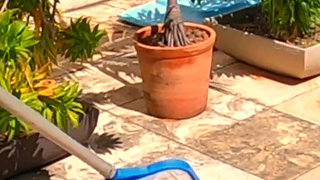 Pool Day and They Fuck Me From My Dirty Ass to My Mouth, Cum on My Face, so Much Load!! I Swallow -cam 2-