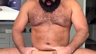 Bear fucking a toy