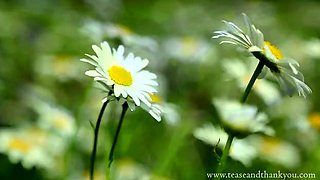 Humiliation POV - Mandy Marx - Warning You Will Be Trapped